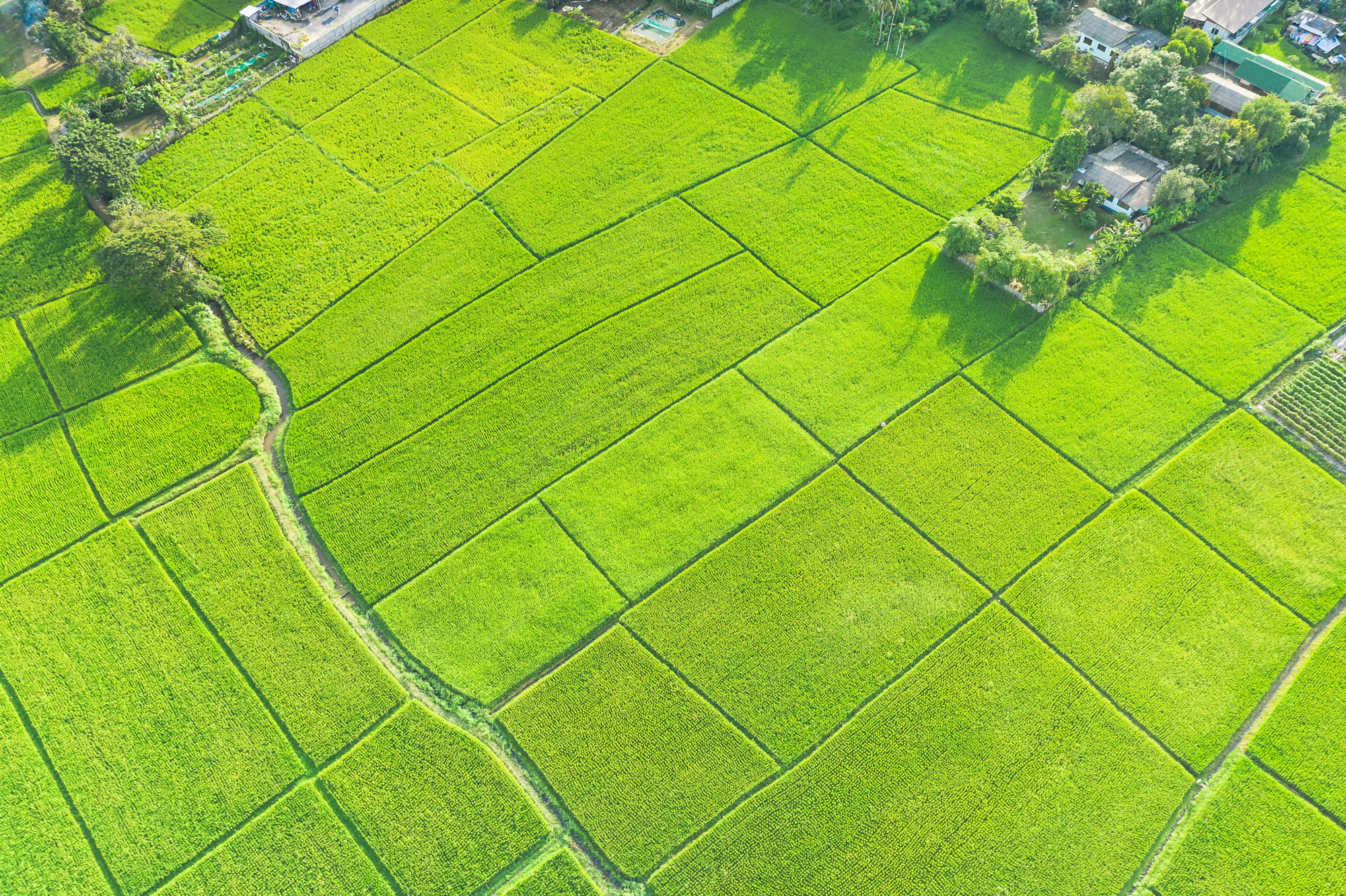 Projektowanie Farm i Rozwój Projektów OZE | Electrum Ventures